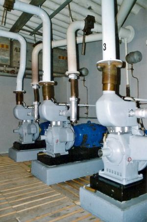 grynau 11