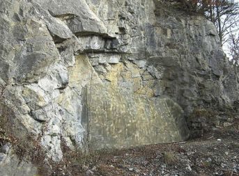 fischbalmen camouflage
