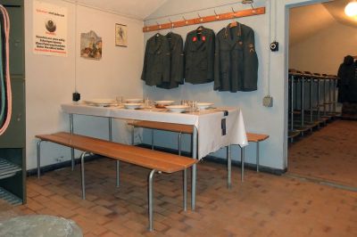 PC Vild 6