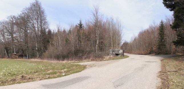Trabach1