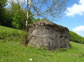 gr kohlberg 1