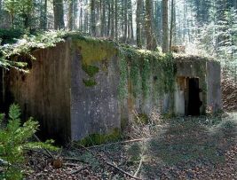 neuneich 1