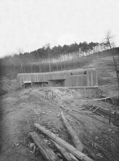 LMC 31