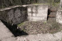 Scheide 2 AALMA