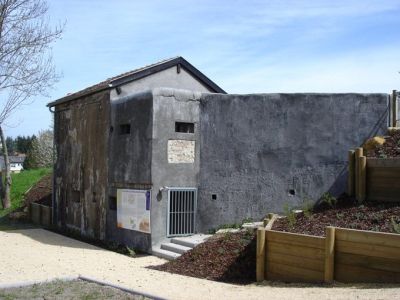 Willerwald 10 AALMA