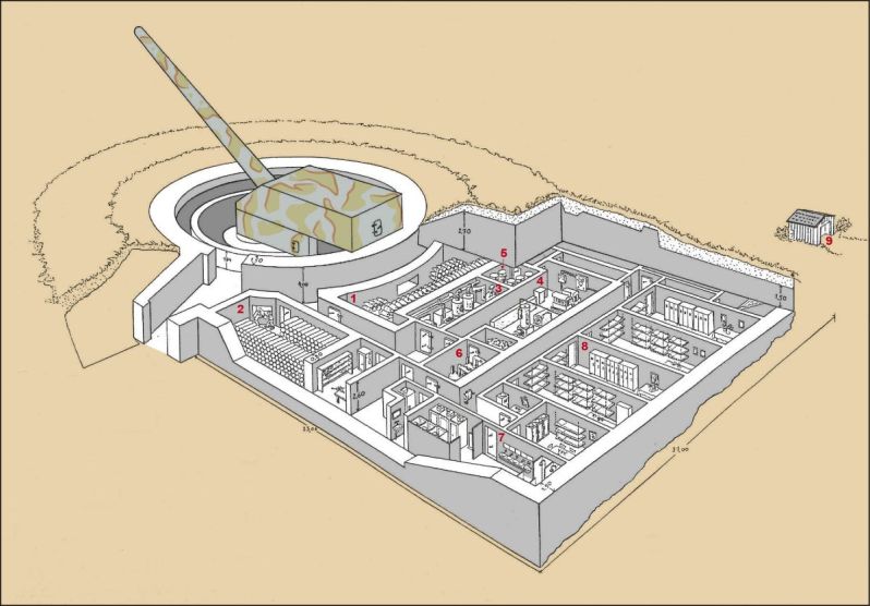 Mirus 3D
