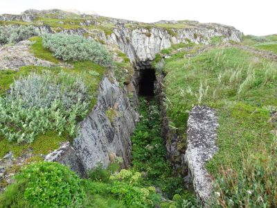 34 Vardo-Renosund